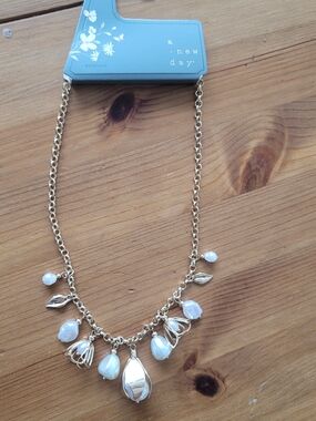 NWT A New Day Necklace